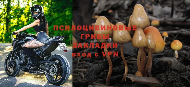 Галлюциногенные грибы Magic Shrooms  Нурлат 